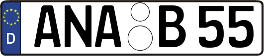 ANA-B55