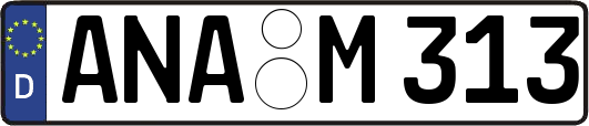 ANA-M313