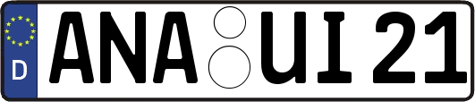 ANA-UI21