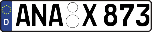 ANA-X873