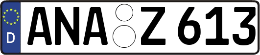 ANA-Z613