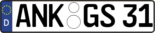 ANK-GS31