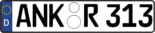ANK-R313