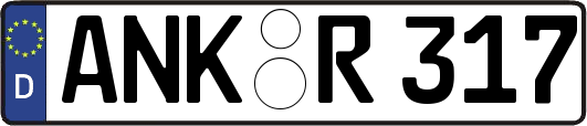 ANK-R317