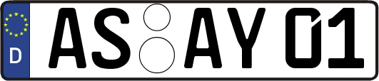 AS-AY01