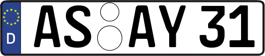 AS-AY31