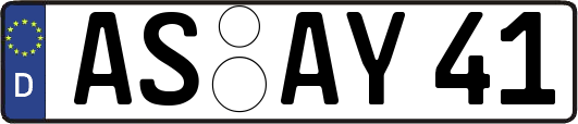 AS-AY41