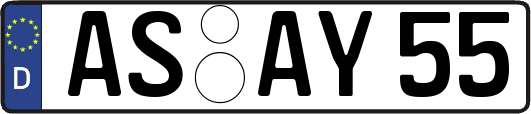 AS-AY55