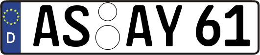 AS-AY61