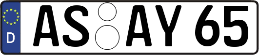 AS-AY65