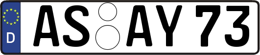 AS-AY73