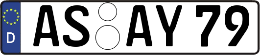 AS-AY79