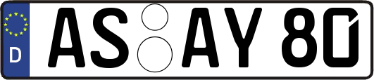 AS-AY80