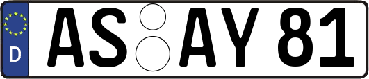 AS-AY81