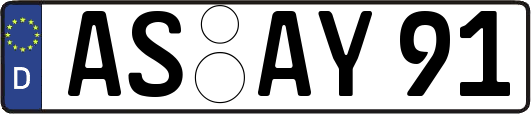 AS-AY91