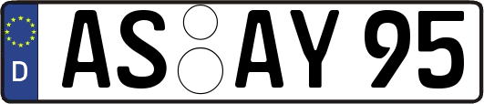 AS-AY95