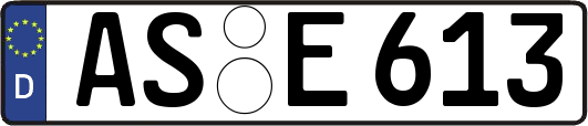 AS-E613