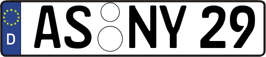 AS-NY29
