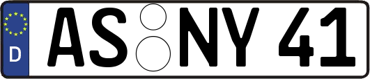 AS-NY41