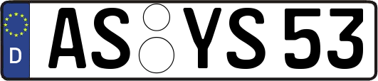 AS-YS53