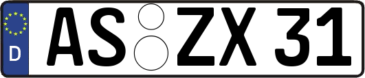 AS-ZX31