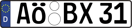 AÖ-BX31
