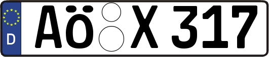 AÖ-X317