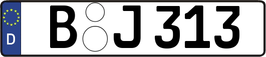 B-J313