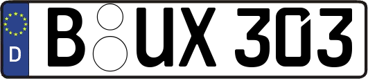 B-UX303