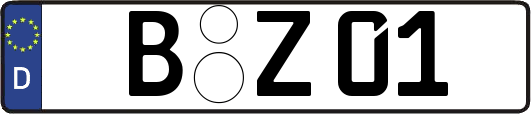 B-Z01