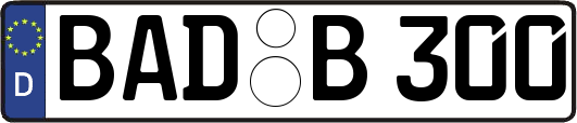 BAD-B300