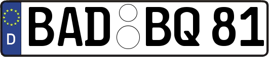 BAD-BQ81