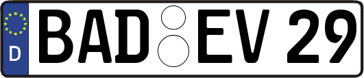 BAD-EV29