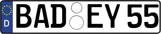 BAD-EY55
