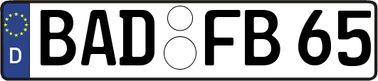 BAD-FB65