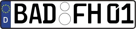 BAD-FH01