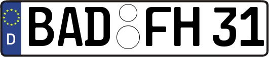 BAD-FH31