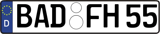 BAD-FH55