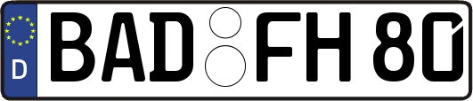 BAD-FH80