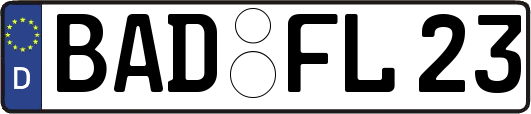 BAD-FL23