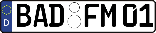 BAD-FM01