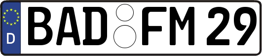 BAD-FM29