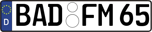 BAD-FM65