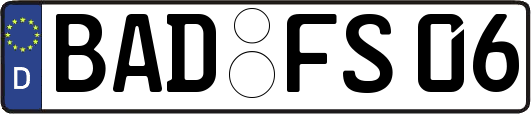 BAD-FS06