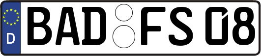 BAD-FS08