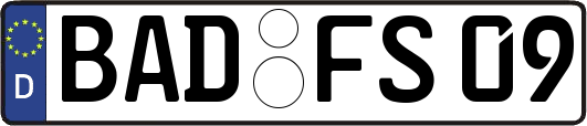 BAD-FS09
