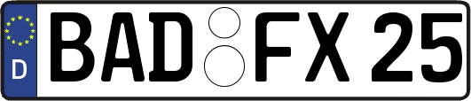 BAD-FX25
