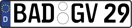 BAD-GV29
