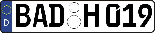 BAD-H019