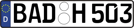 BAD-H503